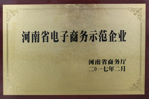 河南省电子商务示范企业