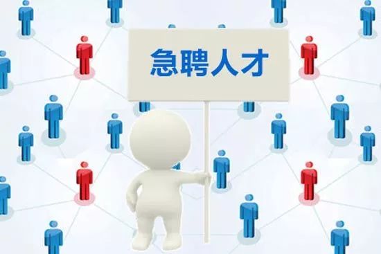 IT行业人才招聘